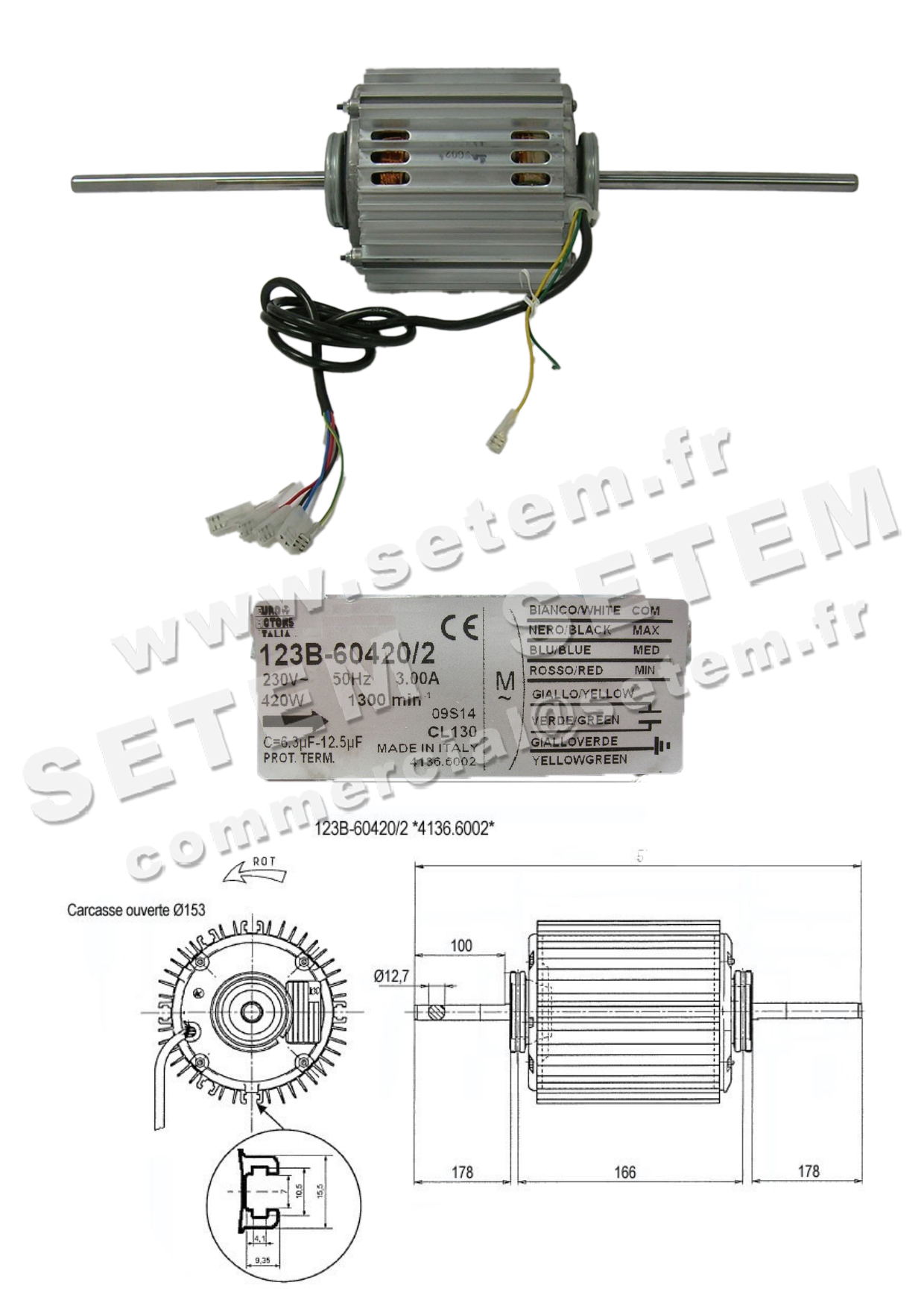 1539006104-MOTEUR EUROMOTORS 123B-60420/2 *4136.6002* 6