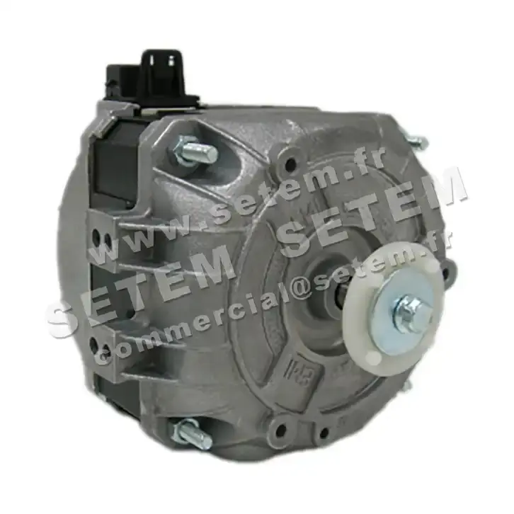 1539009728-MOTEUR EUROMOTORS 82E.2516/C1 *4126.1968*