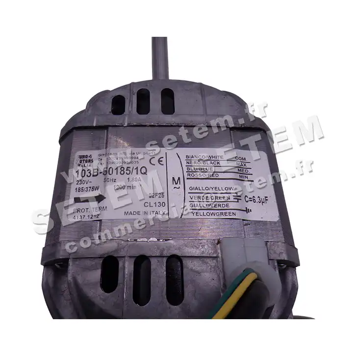 1539009999-MOTEUR EUROMOTORS ITALIA 103B-50185/3Q *4137.1212* 2