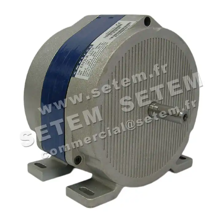 1552000025-MOTEUR EMOTRON EMX.R25M 2