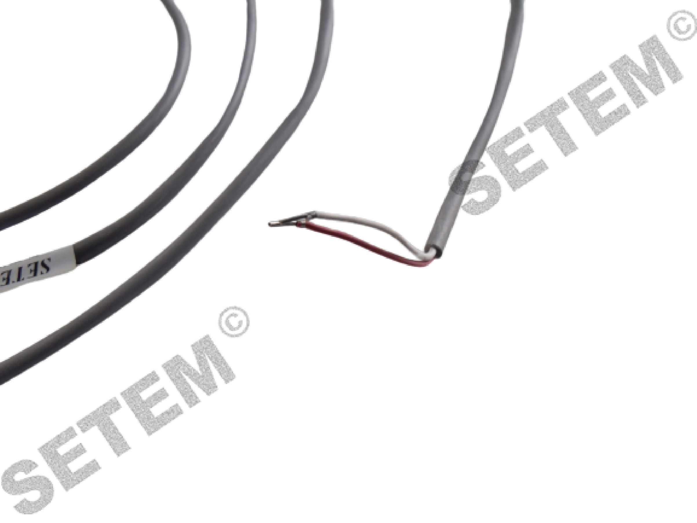 1553504903-SONDE ELIWELL DE TEMPERATURE -50/120°C PTC 2