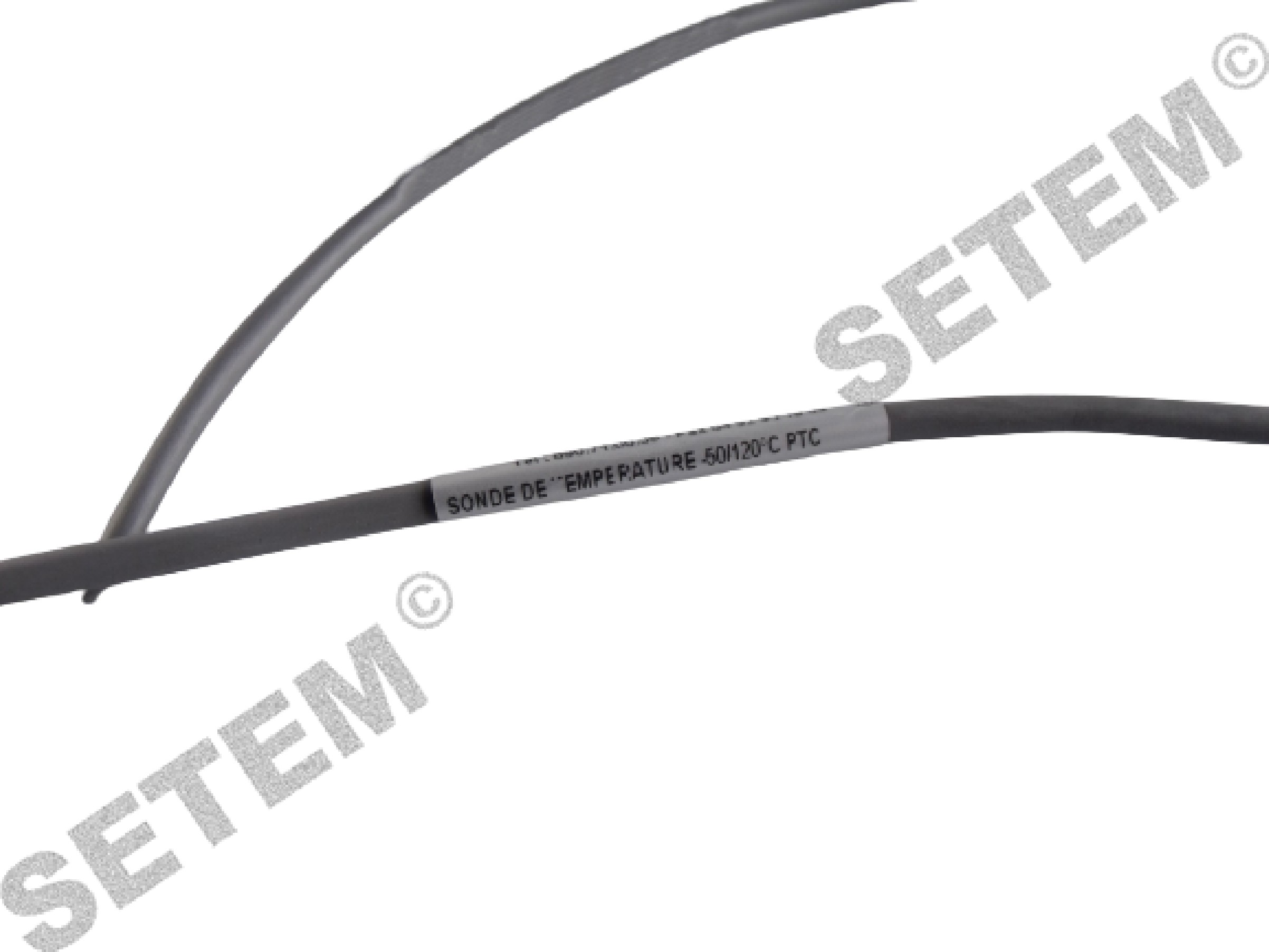 1553504903-SONDE ELIWELL DE TEMPERATURE -50/120°C PTC 4