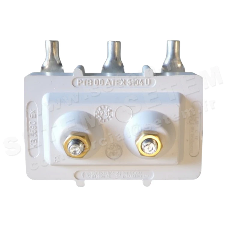 PLAQUE A BORNES SUR MOTEUR EEDA90L/4