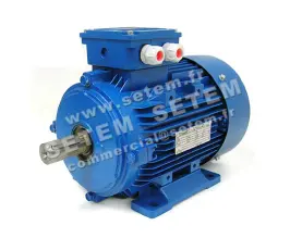 1565002012-MOTEUR ELECTRAMO 3.40KW 2P T400/690V HA100 B3 1AR100L2
