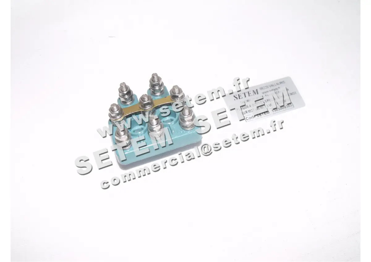 1565009365-PLAQUE A BORNES SPECIALE 6+2 VIS INOX SUR MOTEUR ELECTRAMO MS.80.2.6.V6