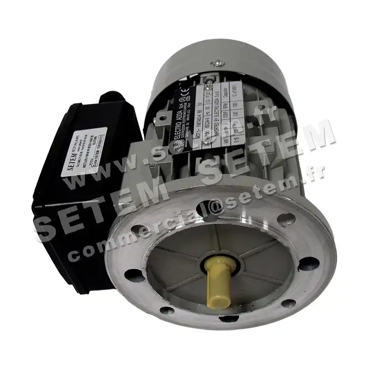 1591005116-MOTEUR ELECADDA 0.18KW 4P M230V HA63 B5 FMTA63.4 4