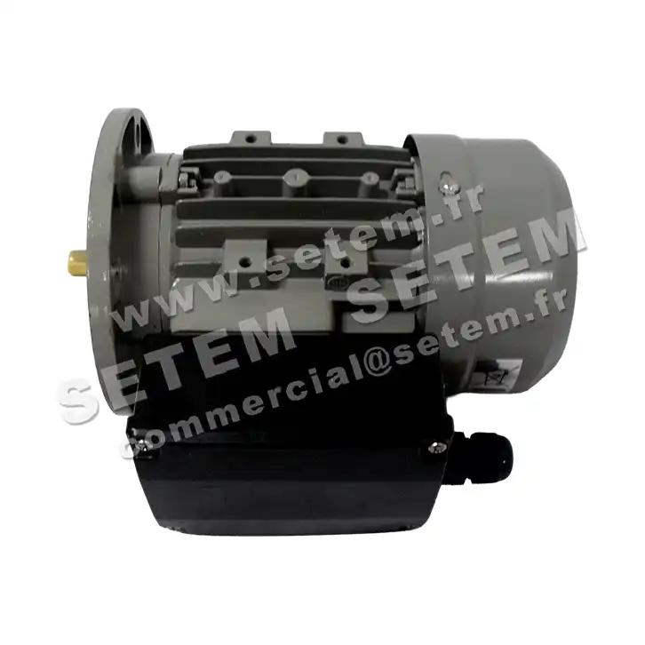 1591005116-MOTEUR ELECADDA 0.18KW 4P M230V HA63 B5 FMTA63.4 6