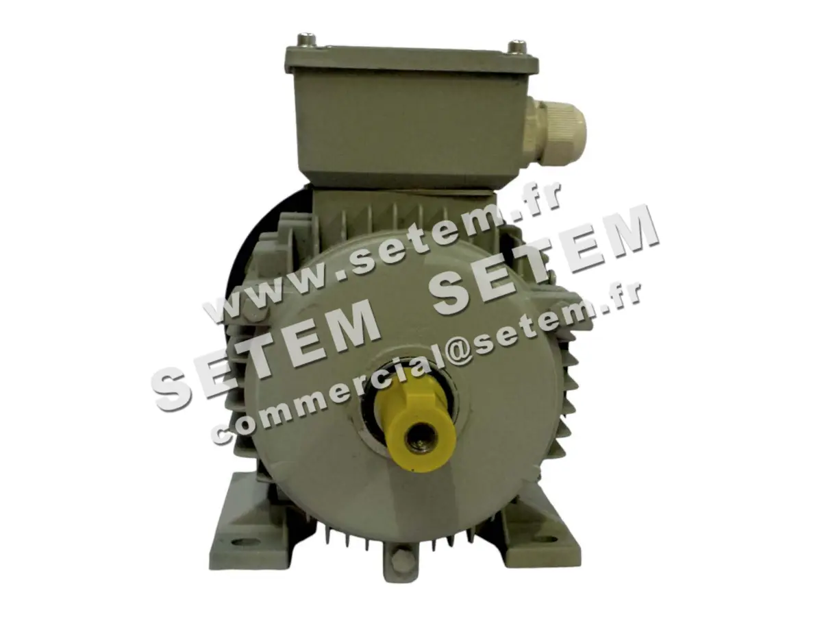 1614000075-MOTEUR ELEKTRAMOT 1.50KW 2P T230/400V HA90 B3 12AA90S.2