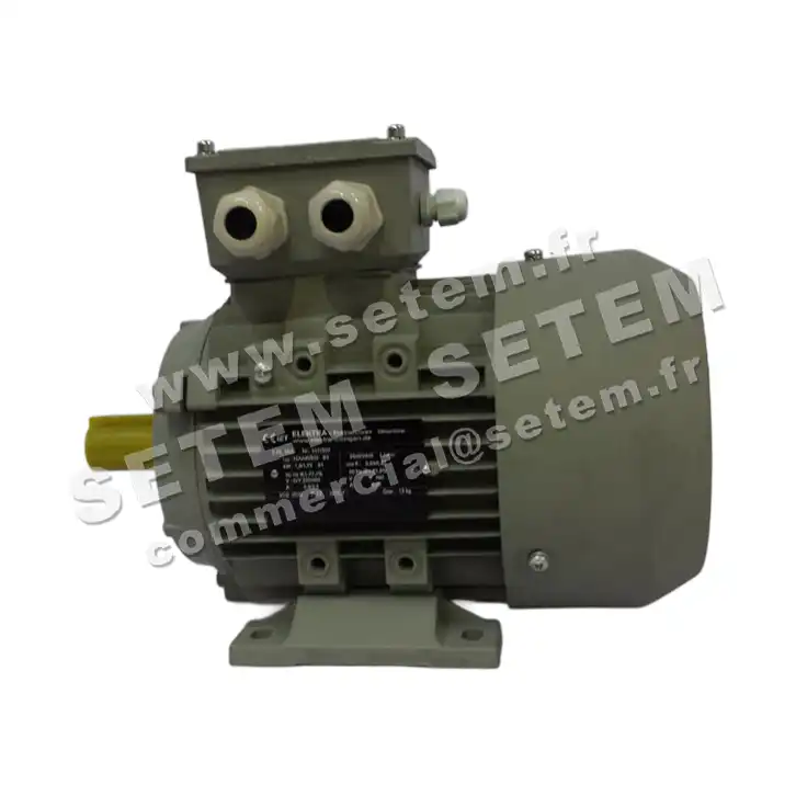 1614000075-MOTEUR ELEKTRAMOT 1.50KW 2P T230/400V HA90 B3 12AA90S.2 2