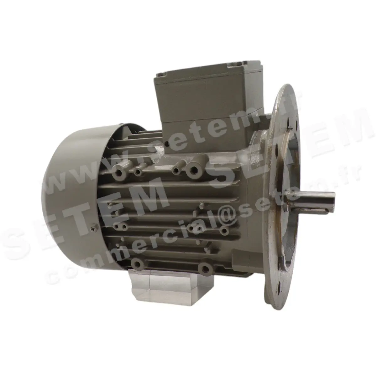 1614000136-MOTEUR ELEKTRA MOTOREN 1.30KW 2P T460V 60HZ HA80 B5 7AA80M02 3