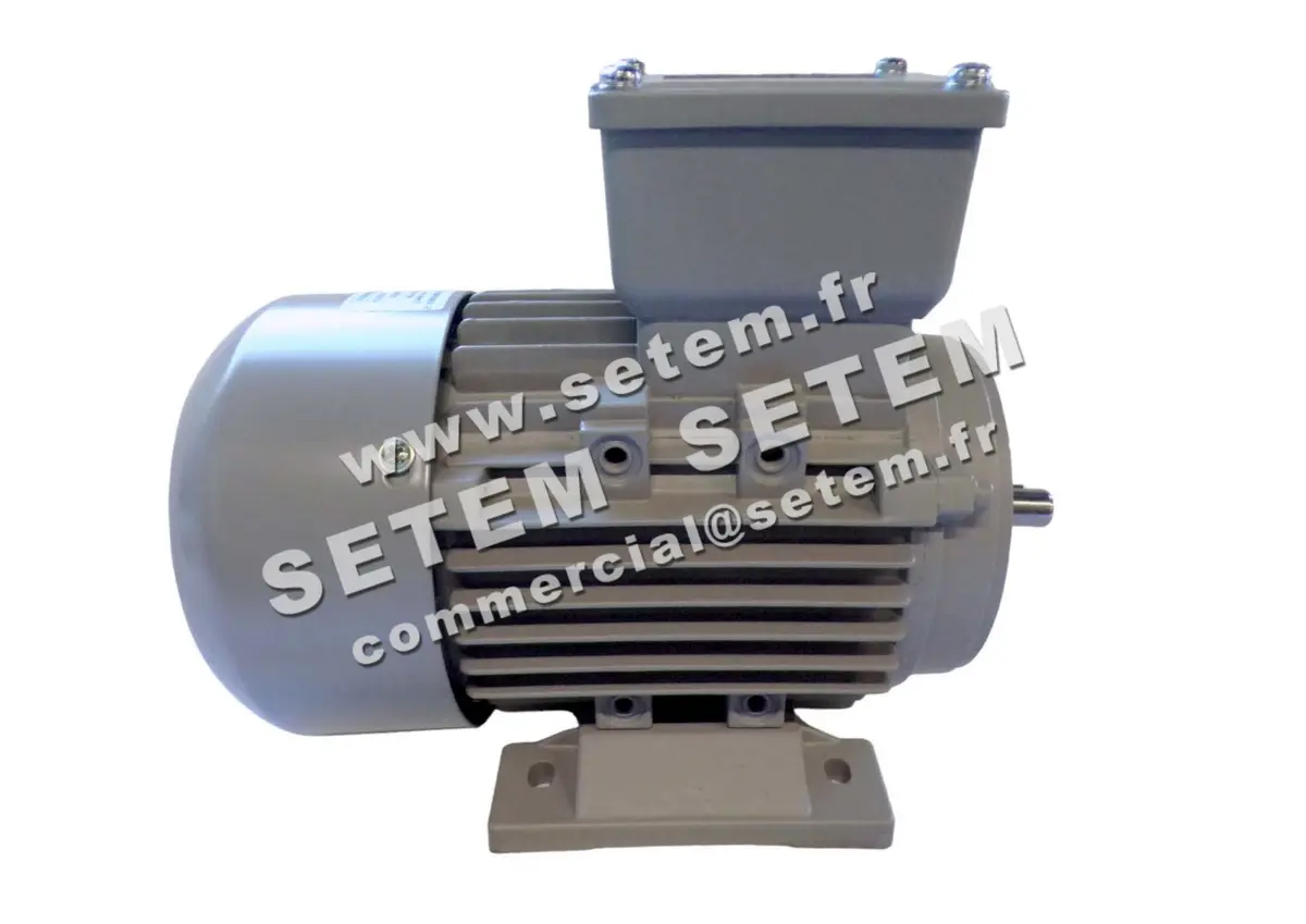 1614005630-MOTEUR ELEKTRAMOT 0.25KW 2P T230/400V HA63 B3 12AA632.2 4