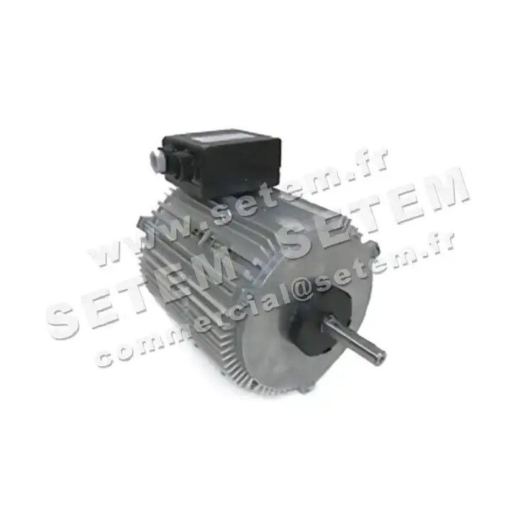 1809000009-MOTEUR FMV TX090P06 265/500W 6P T230/400V *18835*
