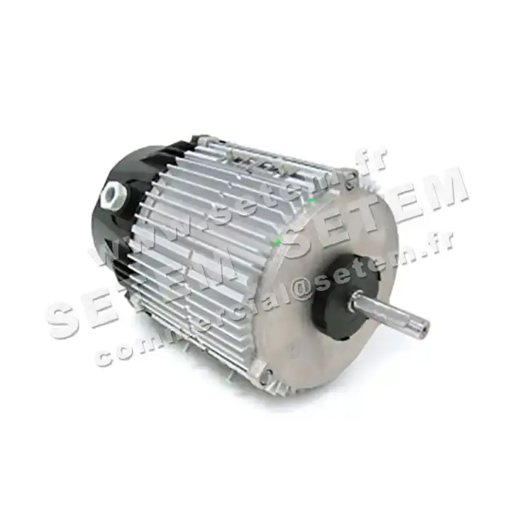1809000063-MOTEUR FMV MX050P06 190/350W 6P M230V *18873*