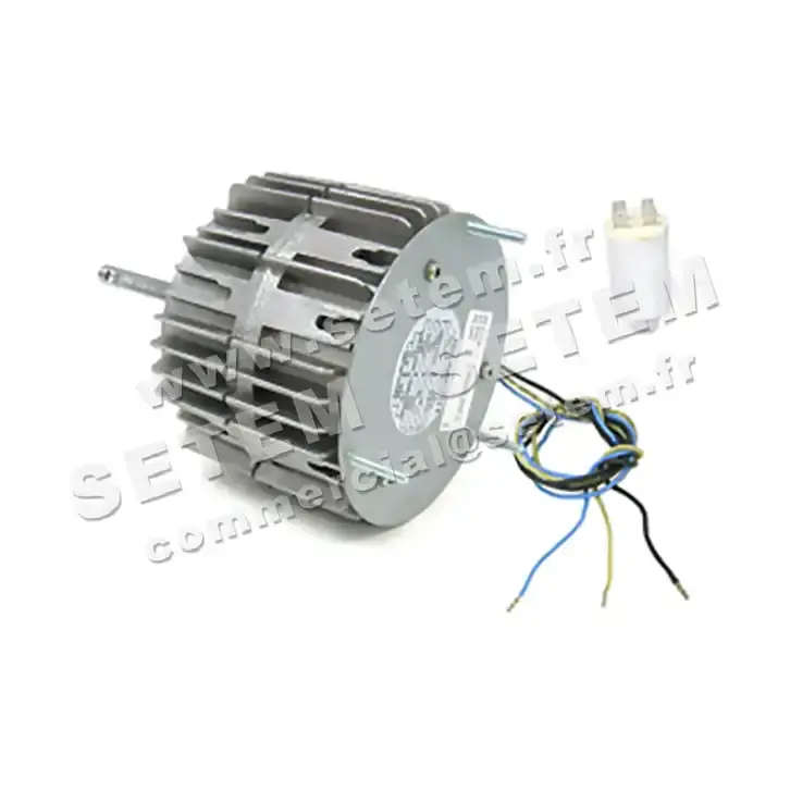 1809000079-MOTEUR FMV MFC30W4 70/170W 4P M230V *18713*