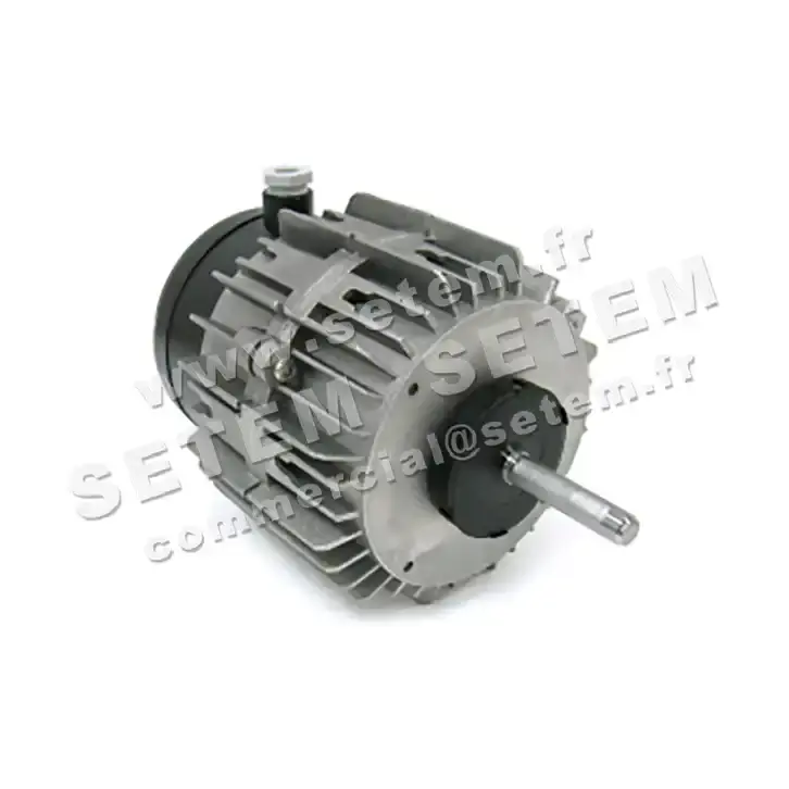 1809000083-MOTEUR FMV MF030W04 70/170W 4P M230V *18755*