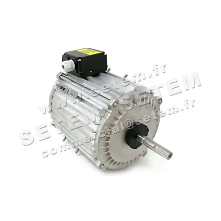 1809000152-MOTEUR FMV TX120L12 *23523*