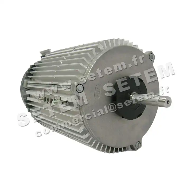 1809001146-MOTEUR FMV MX090P04 550/860W 4P M230V *5001018890* 2