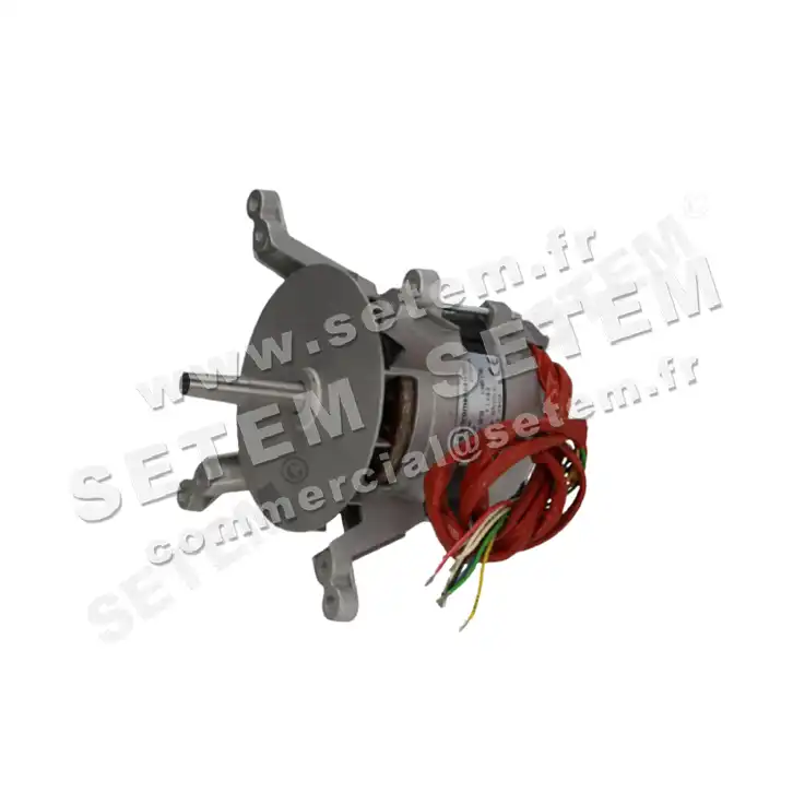 1828000012-MOTEUR FIR 1079T4410