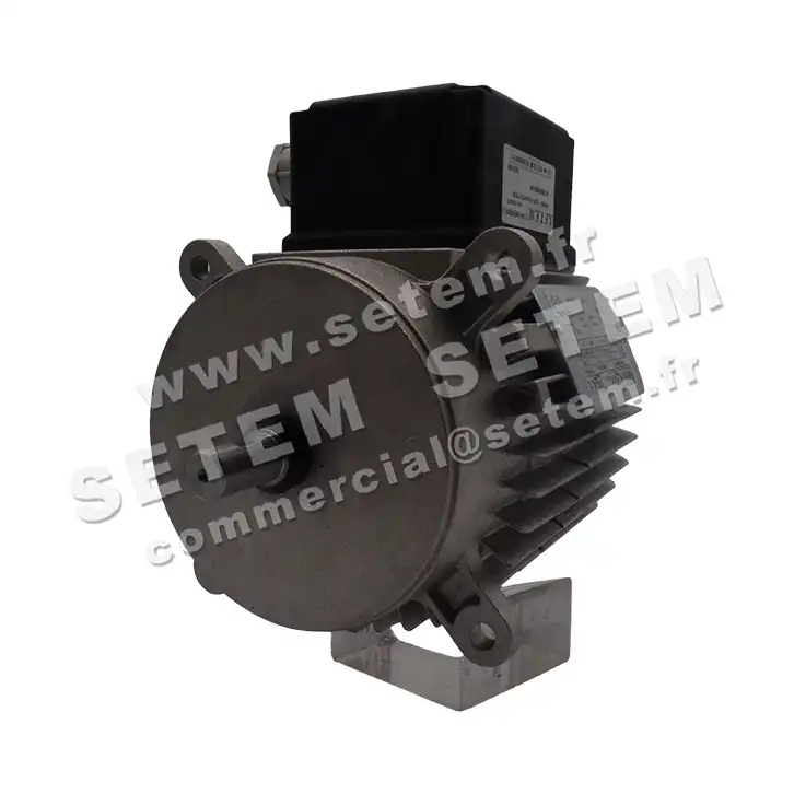 1828000031-MOTEUR FIR 68SKAH6 2