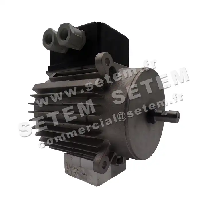 1828000031-MOTEUR FIR 68SKAH6 3