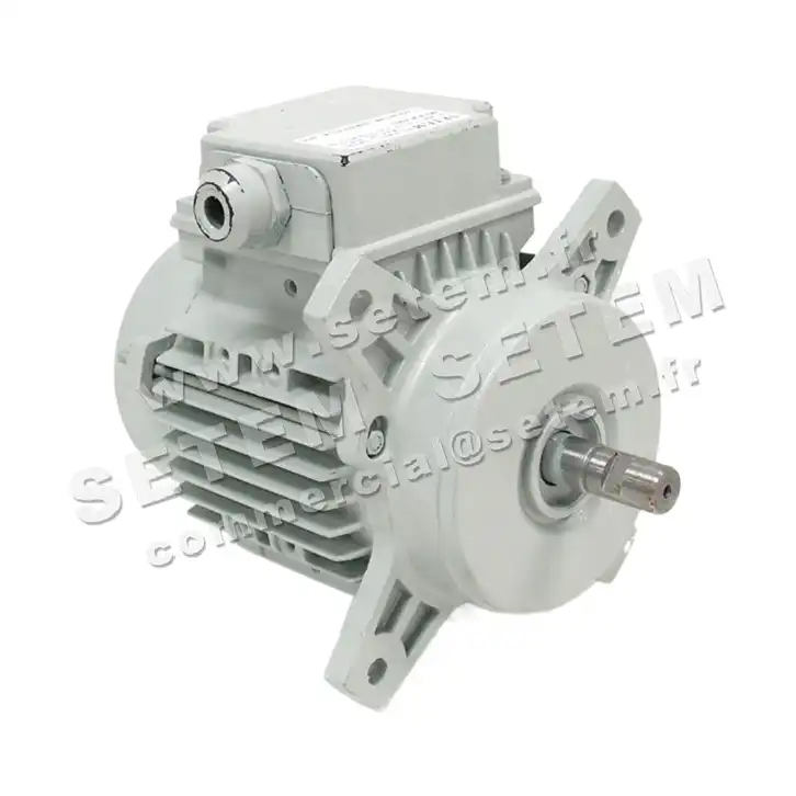 1828000045-MOTEUR FIR 6S45.2500 2