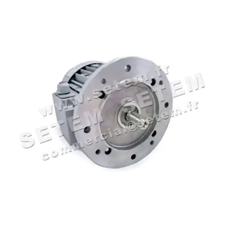 1828000066-MOTEUR FIR BK80.B5/6 "3051011"