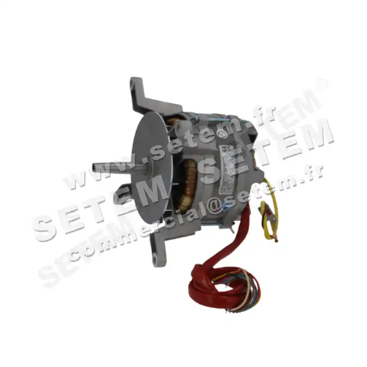 1828000099-MOTEUR FIR 3081DH4052