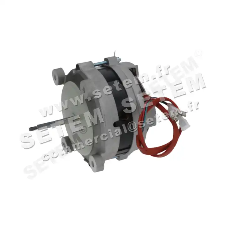 1828000101-MOTEUR FIR 3005.2351