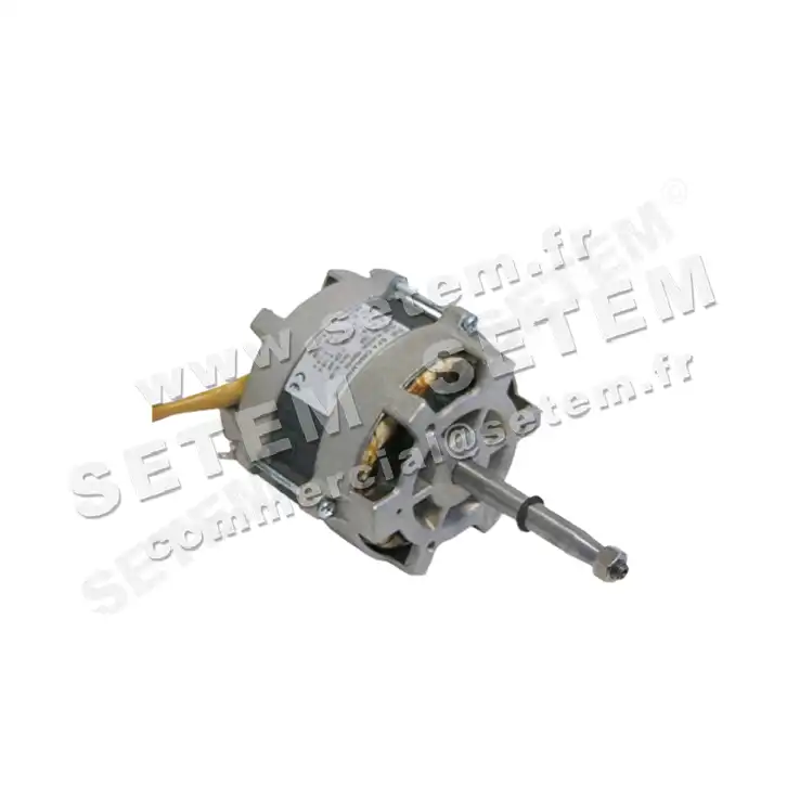 1828000119-MOTEUR FIR 1061.1950