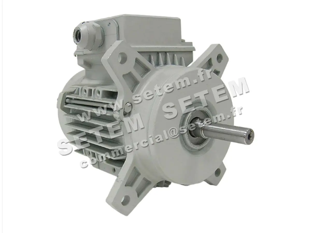 1828001134-MOTEUR FIR B113/4TBW