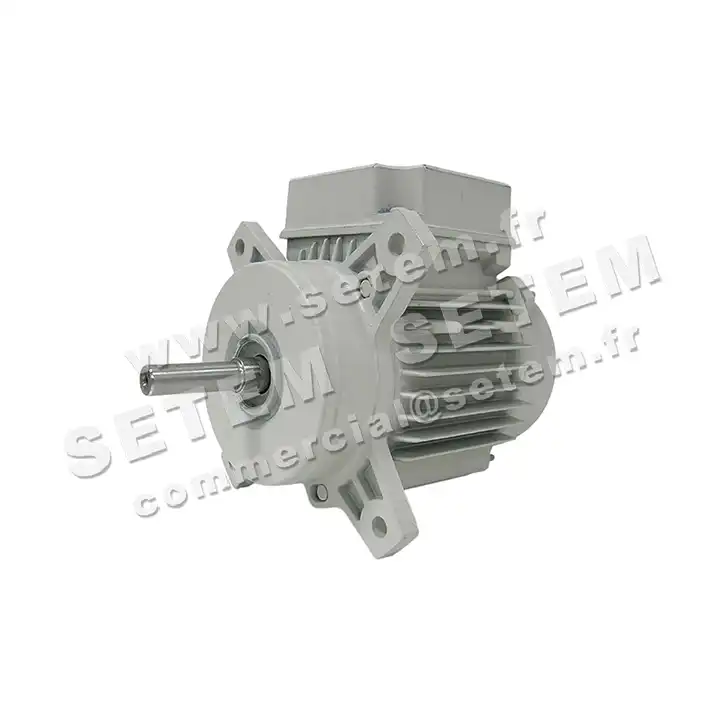 1828001134-MOTEUR FIR B113/4TBW 2