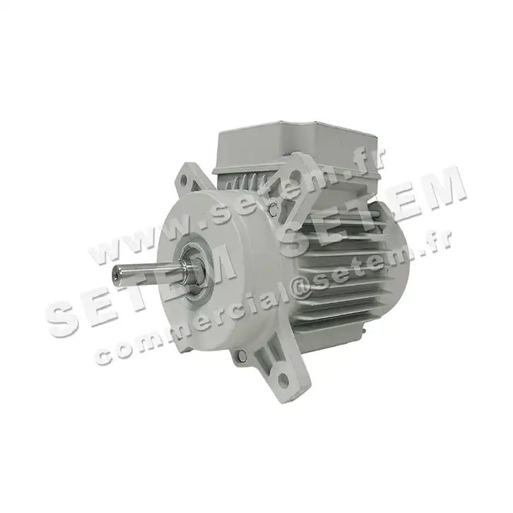 1828001135-MOTEUR FIR B1135/6TBW 2