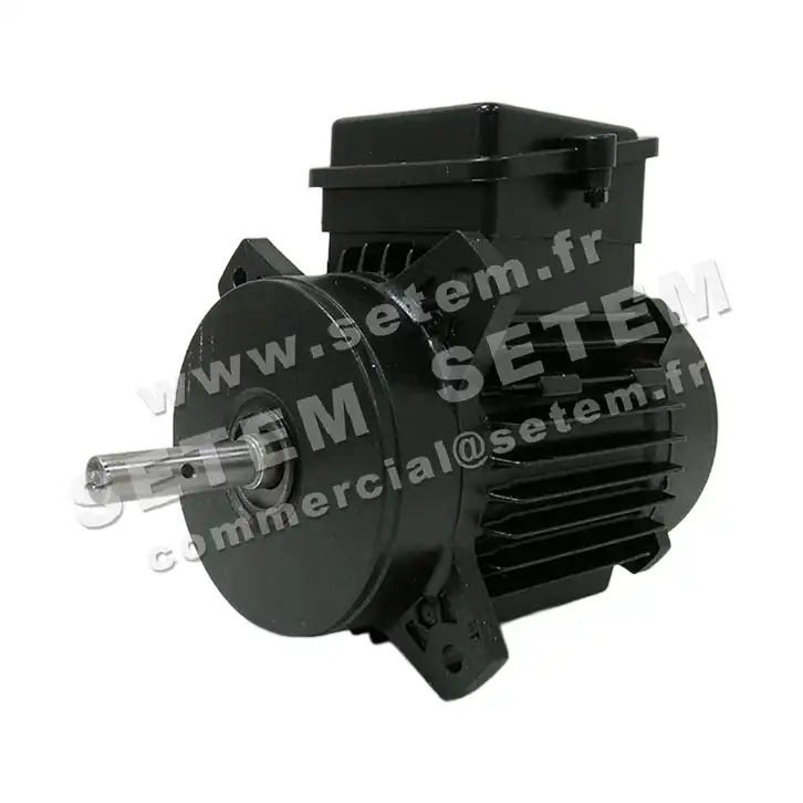1828001543-MOTEUR FIR 1543 2