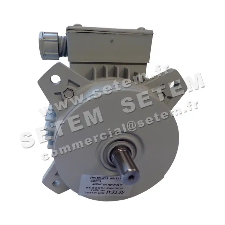 1828002144-MOTEUR FIR 46SKAH5 "3055034" 2