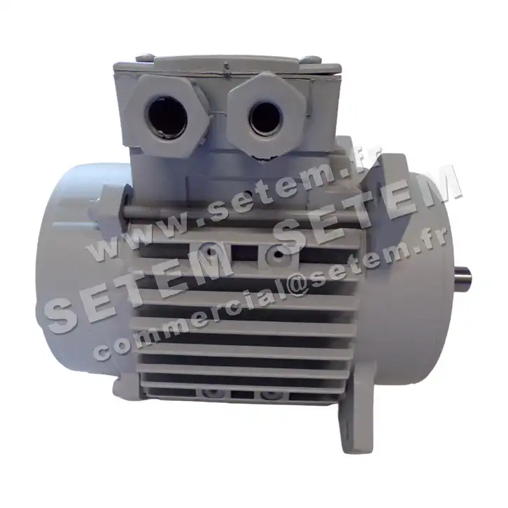 1828002144-MOTEUR FIR 46SKAH5 "3055034" 3