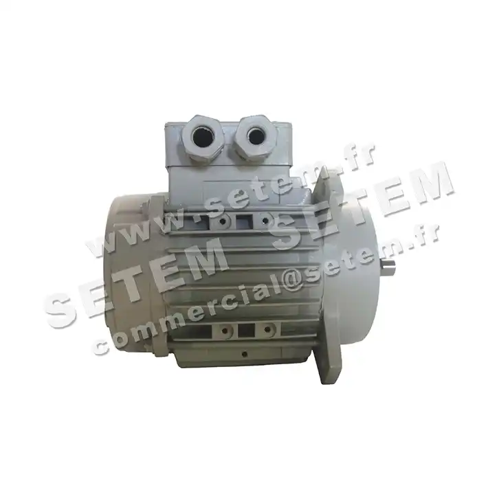 1828005441-MOTEUR FIR 46SKAH4 "3055033" 2