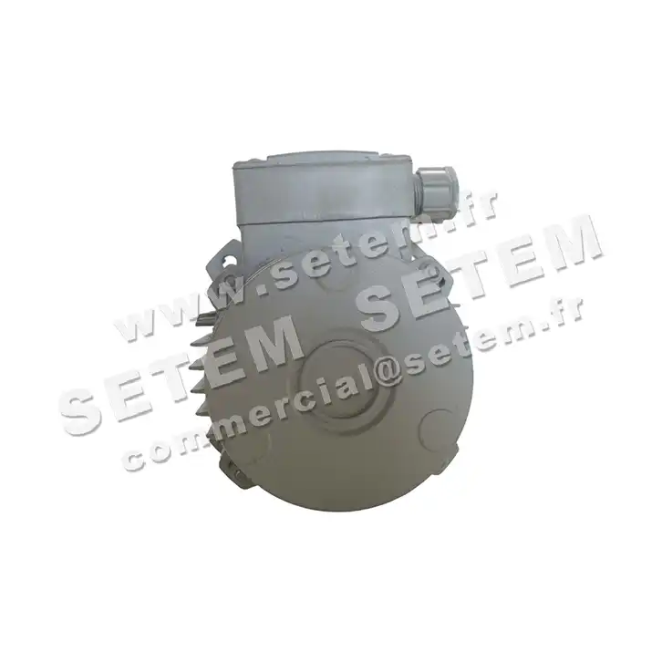 1828005441-MOTEUR FIR 46SKAH4 "3055033" 3