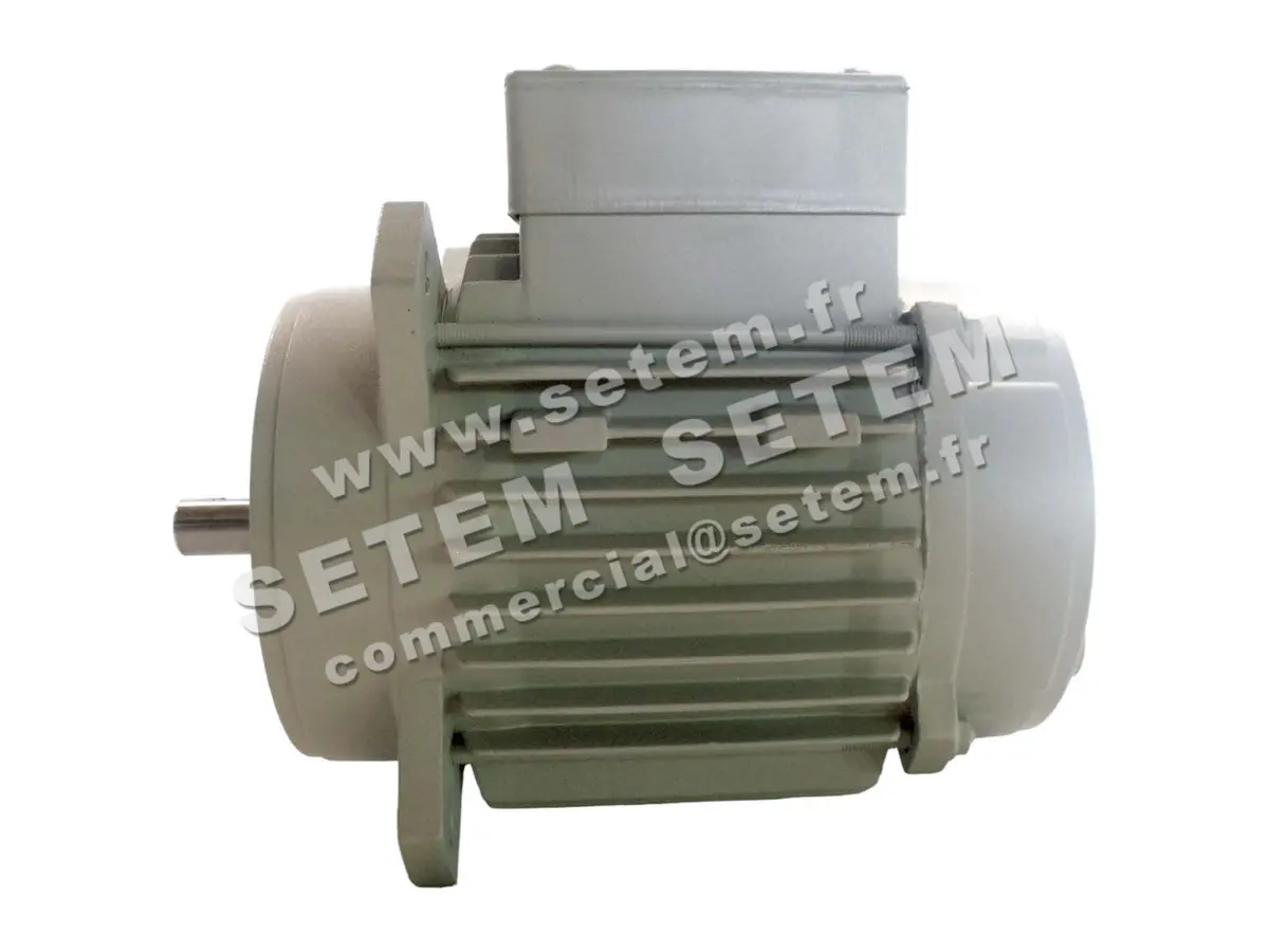 1828005441-MOTEUR FIR 46SKAH4 "3055033" 2