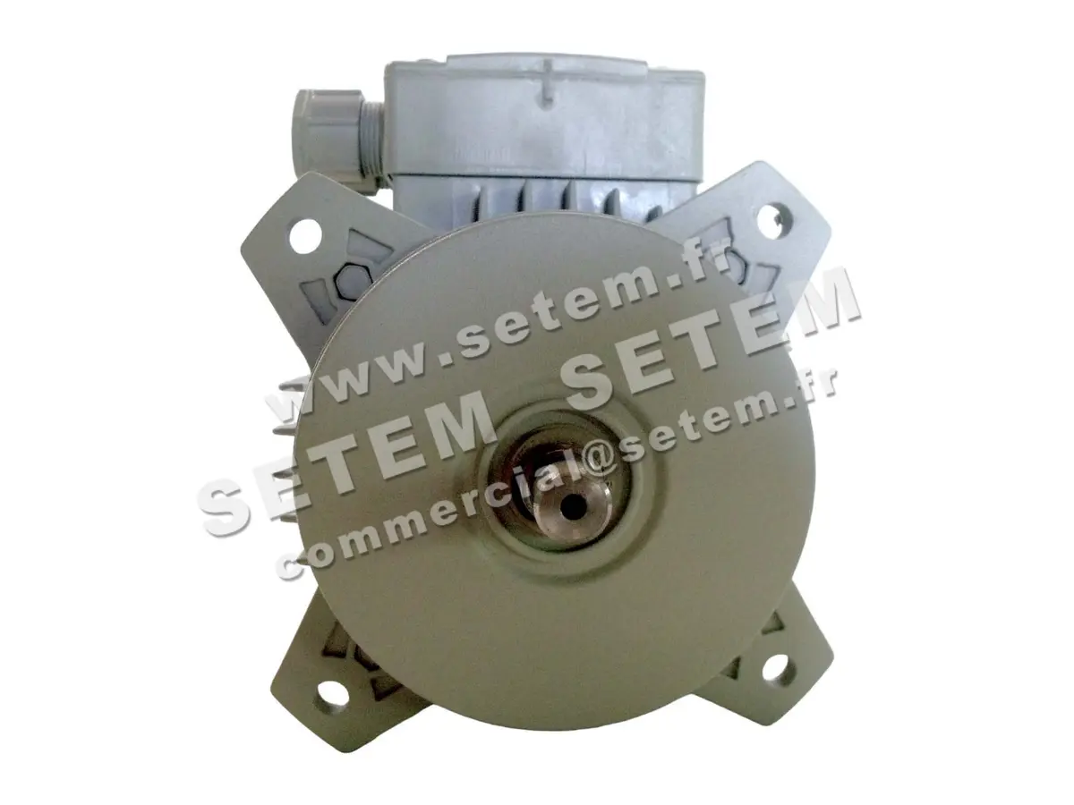 1828005441-MOTEUR FIR 46SKAH4 "3055033" 3