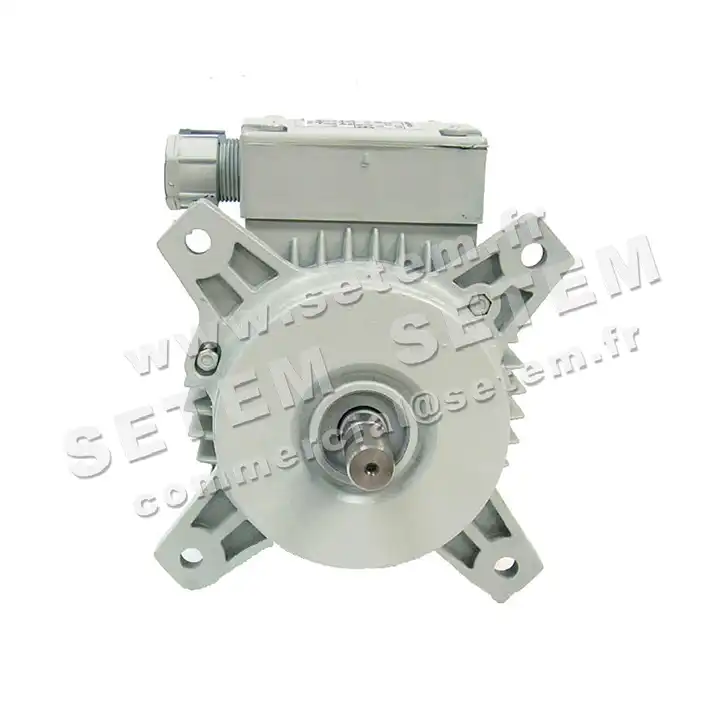 1828009104-MOTEUR FIR 46SKAH1 2