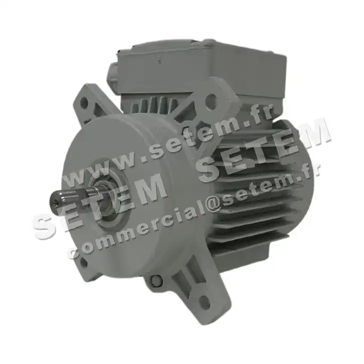 1828009205-MOTEUR FIR 46SKAH2 2