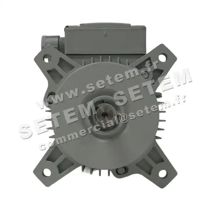 1828009205-MOTEUR FIR 46SKAH2 3