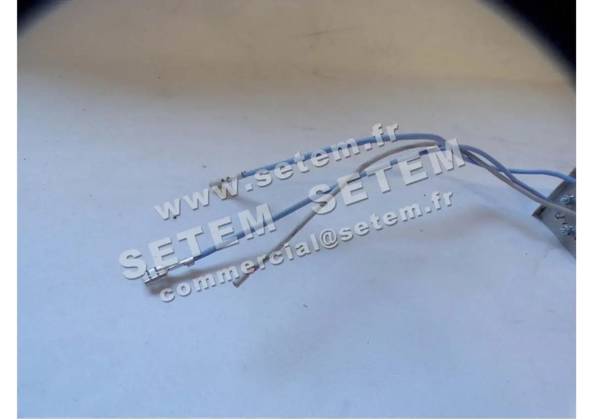 1840009560-RESISTANCE 059170 FERGAS 5