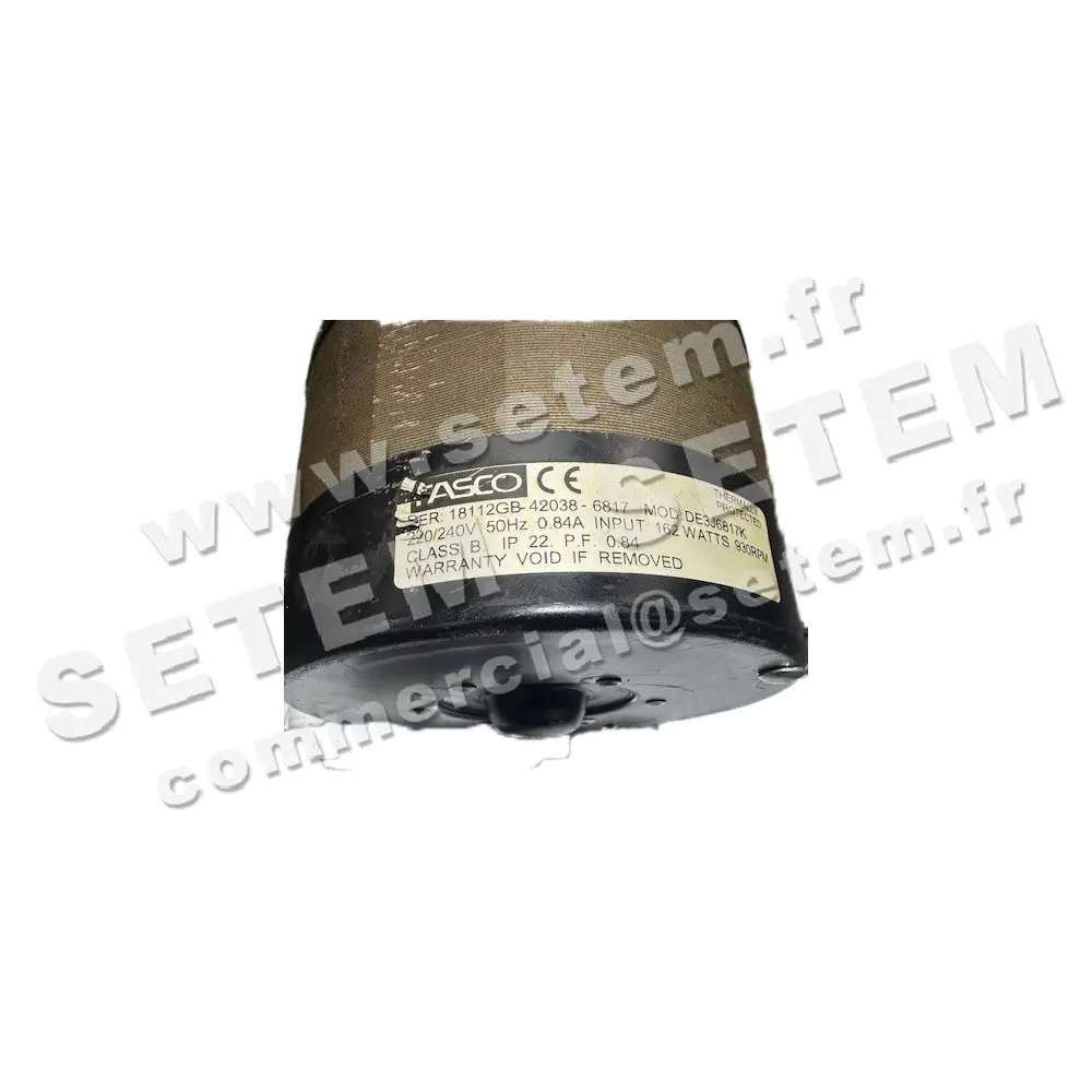 1849005558-MOTEUR FASCO DE3J6817K