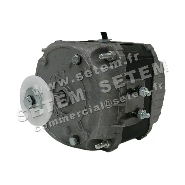 1868000381-MOTEUR FMI A210 2