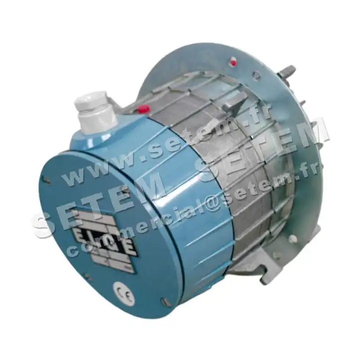 2421009850-MOTEUR ATLANTIC M30F4THP 2