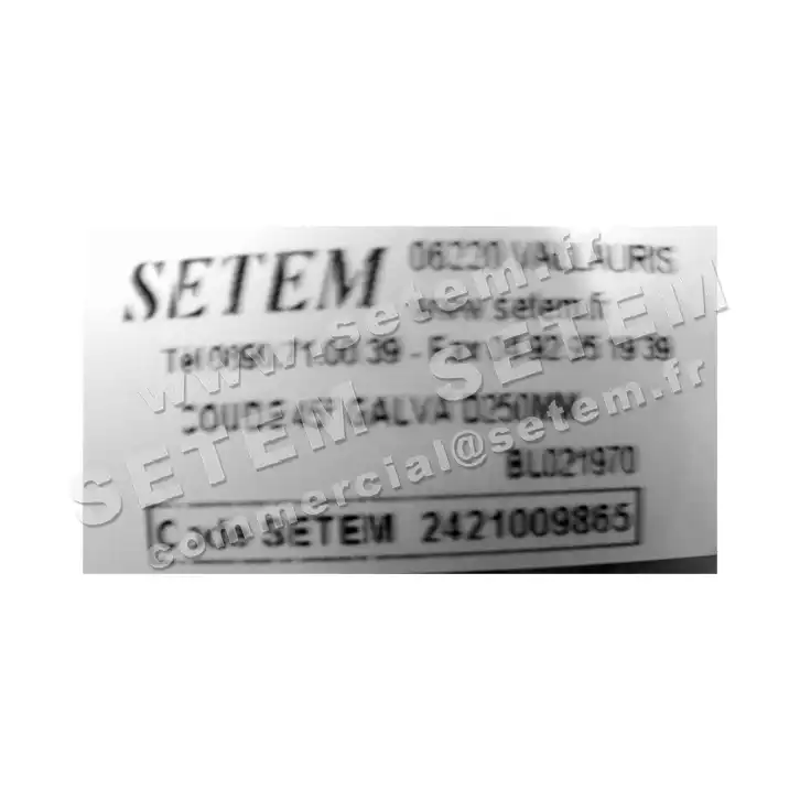 2421009865-COUDE 45° GALVA D250MM ATLANTIC 2
