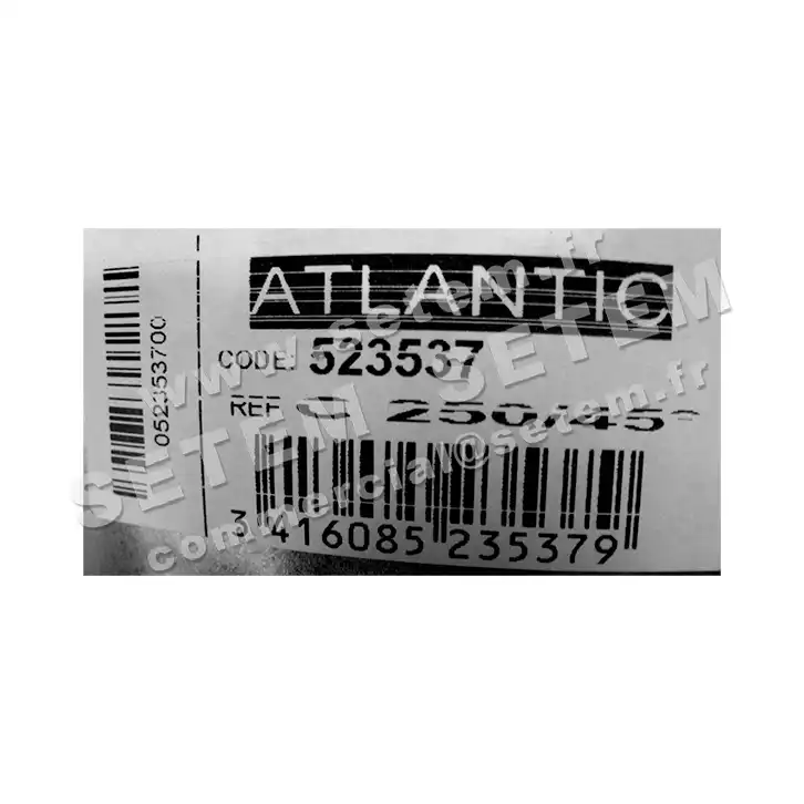 2421009865-COUDE 45° GALVA D250MM ATLANTIC 3