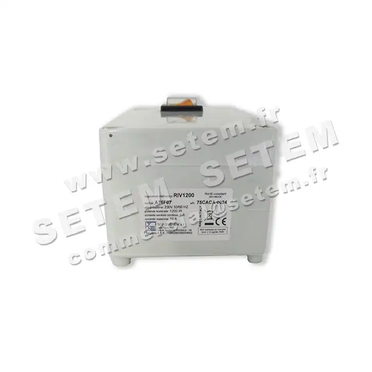 2443008032-REGULATEUR 3GP RIV1200 *A75F07* 5