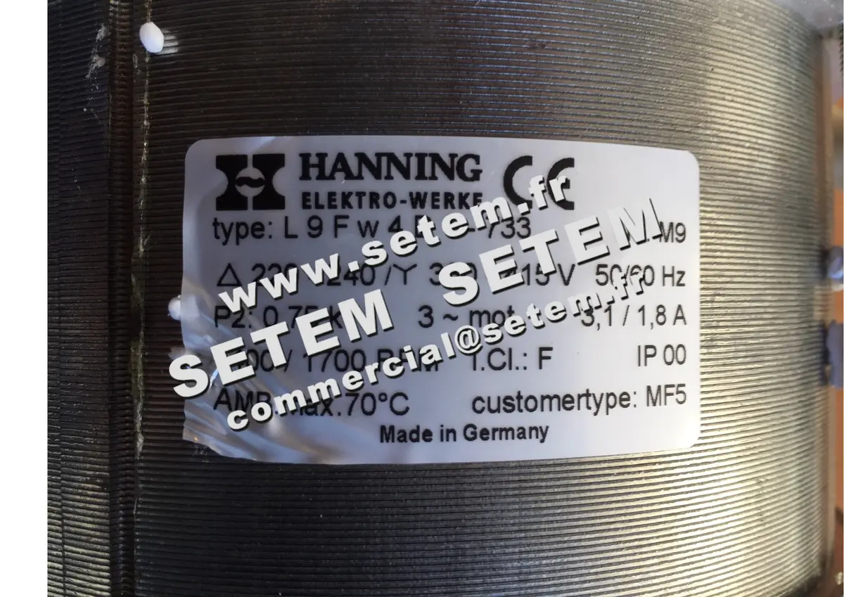 2729005122-MOTEUR HANNING L9FW4D1.733 MF5
